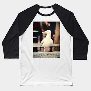 Seagull in New York Baseball T-Shirt